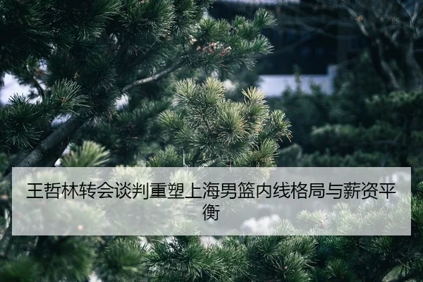 wang-zhe-lin-zhuan-hui-tan-pan-zhong-su-shang-hai-nan-lan-nei-xian-ge-ju-yu-xin-zi-ping-heng-2-474.jpg
